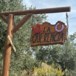 Lana Parrilla Instagram - After 17yrs, I decided to finally come back to the Sierra Nevada Mountains to ride with the best horseman in all of España at the @caballos_la_querencia campo 🐴 🇪🇸 I met my dear friend Fernando Reyero in the summer of 2006 when I decided to move to Spain to study Spanish and brush up on my horseback riding skills 3x a week for nearly 5 months. And where better than the Andalucia in España, right! Granada, Spain became one of my most favorite cities in the world. As someone who’s Spanish speaking skills were poor, you can imagine how intimidating it was to move to a foreign country, not knowing anyone and trying to connect with people who don’t speak your language. Luckily for me, I met one person who really helped me feel welcomed. I was immediately embraced by Fernando who’s English is perfect. He’s not only an incredible teacher and horseman, he’s a wonderful writer and a study of multiple languages. So when I arrived, he greeted me in English, Spanish and French and said, “Which do you prefer?” I replied, “English for now.” 🫣 If you’re looking for adventure on horseback in one of the most stunning places in the world, look no further. Fernando has the most beautiful horses & pups that will melt your heart upon meeting them. He’s created such a wonderful family with these animals and they will all go with you on the journey up the mountain and wait for you while you cool off with a refreshing drink & tapas while overlooking the impressive views of the Sierra Nevadas. This magical experience will keep you smiling for days! For the past 17yrs I’ve wanted to live in this part of Spain. I’ve honestly never been happier. Living with just my basic needs, surrounded by beautiful people, food and culture. And since this trip, I feel like I’m getting closer to that dream. Yay! Who knows, maybe we’ll end up riding together one day! 🤞 Plz go to @caballos_la_querencia for more information on how to have to the adventure of a lifetime. And please make sure to give Fernando a big hug for me! ❤️🇪🇸🐴🍻 #adventure #españa #horsebackriding #andalucia #spain #horses #riding #caballos #friendship #supportsmallbusiness #happiness #caballoslaquerencia #potd
