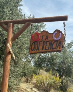 Lana Parrilla Instagram - After 17yrs, I decided to finally come back to the Sierra Nevada Mountains to ride with the best horseman in all of España at the @caballos_la_querencia campo 🐴 🇪🇸 I met my dear friend Fernando Reyero in the summer of 2006 when I decided to move to Spain to study Spanish and brush up on my horseback riding skills 3x a week for nearly 5 months. And where better than the Andalucia in España, right! Granada, Spain became one of my most favorite cities in the world. As someone who’s Spanish speaking skills were poor, you can imagine how intimidating it was to move to a foreign country, not knowing anyone and trying to connect with people who don’t speak your language. Luckily for me, I met one person who really helped me feel welcomed. I was immediately embraced by Fernando who’s English is perfect. He’s not only an incredible teacher and horseman, he’s a wonderful writer and a study of multiple languages. So when I arrived, he greeted me in English, Spanish and French and said, “Which do you prefer?” I replied, “English for now.” 🫣 If you’re looking for adventure on horseback in one of the most stunning places in the world, look no further. Fernando has the most beautiful horses & pups that will melt your heart upon meeting them. He’s created such a wonderful family with these animals and they will all go with you on the journey up the mountain and wait for you while you cool off with a refreshing drink & tapas while overlooking the impressive views of the Sierra Nevadas. This magical experience will keep you smiling for days! For the past 17yrs I’ve wanted to live in this part of Spain. I’ve honestly never been happier. Living with just my basic needs, surrounded by beautiful people, food and culture. And since this trip, I feel like I’m getting closer to that dream. Yay! Who knows, maybe we’ll end up riding together one day! 🤞 Plz go to @caballos_la_querencia for more information on how to have to the adventure of a lifetime. And please make sure to give Fernando a big hug for me! ❤️🇪🇸🐴🍻 #adventure #españa #horsebackriding #andalucia #spain #horses #riding #caballos #friendship #supportsmallbusiness #happiness #caballoslaquerencia #potd