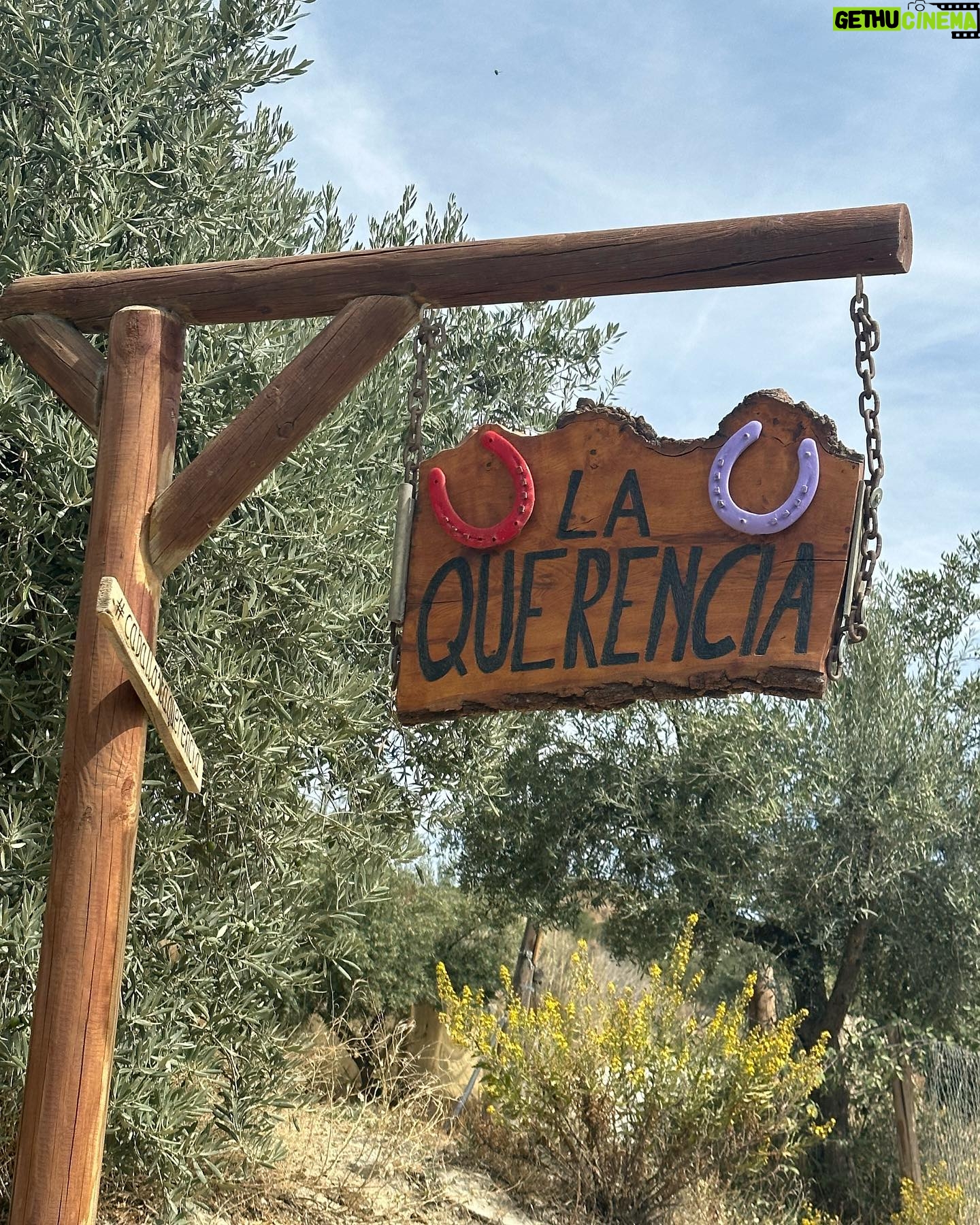 Lana Parrilla Instagram - After 17yrs, I decided to finally come back to the Sierra Nevada Mountains to ride with the best horseman in all of España at the @caballos_la_querencia campo 🐴 🇪🇸 I met my dear friend Fernando Reyero in the summer of 2006 when I decided to move to Spain to study Spanish and brush up on my horseback riding skills 3x a week for nearly 5 months. And where better than the Andalucia in España, right! Granada, Spain became one of my most favorite cities in the world. As someone who’s Spanish speaking skills were poor, you can imagine how intimidating it was to move to a foreign country, not knowing anyone and trying to connect with people who don’t speak your language. Luckily for me, I met one person who really helped me feel welcomed. I was immediately embraced by Fernando who’s English is perfect. He’s not only an incredible teacher and horseman, he’s a wonderful writer and a study of multiple languages. So when I arrived, he greeted me in English, Spanish and French and said, “Which do you prefer?” I replied, “English for now.” 🫣 If you’re looking for adventure on horseback in one of the most stunning places in the world, look no further. Fernando has the most beautiful horses & pups that will melt your heart upon meeting them. He’s created such a wonderful family with these animals and they will all go with you on the journey up the mountain and wait for you while you cool off with a refreshing drink & tapas while overlooking the impressive views of the Sierra Nevadas. This magical experience will keep you smiling for days! For the past 17yrs I’ve wanted to live in this part of Spain. I’ve honestly never been happier. Living with just my basic needs, surrounded by beautiful people, food and culture. And since this trip, I feel like I’m getting closer to that dream. Yay! Who knows, maybe we’ll end up riding together one day! 🤞 Plz go to @caballos_la_querencia for more information on how to have to the adventure of a lifetime. And please make sure to give Fernando a big hug for me! ❤️🇪🇸🐴🍻 #adventure #españa #horsebackriding #andalucia #spain #horses #riding #caballos #friendship #supportsmallbusiness #happiness #caballoslaquerencia #potd