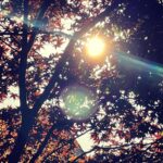 Lana Parrilla Instagram – Today ✨ #fallvibes