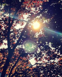 Lana Parrilla Instagram - Today ✨ #fallvibes