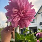Lana Parrilla Instagram - Surrounded by beauty 💖#colorsofnature #nofilter #potd