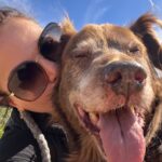 Lana Parrilla Instagram – My loves ❤️❤️
#pups #mybabies #lolaandlevi #potd #goodpuppies #blessed oh and photobombed my #gnat (can you find the lil bugger?)