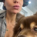 Lana Parrilla Instagram - Mascot Milo 😍 #TheLincolnLawyer #newfriends