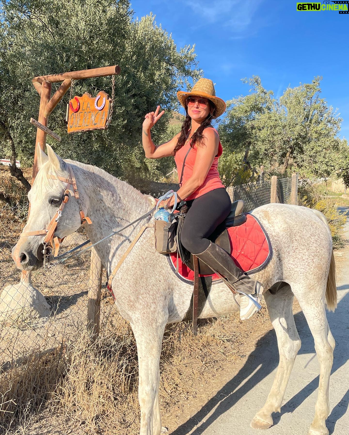 Lana Parrilla Instagram - After 17yrs, I decided to finally come back to the Sierra Nevada Mountains to ride with the best horseman in all of España at the @caballos_la_querencia campo 🐴 🇪🇸 I met my dear friend Fernando Reyero in the summer of 2006 when I decided to move to Spain to study Spanish and brush up on my horseback riding skills 3x a week for nearly 5 months. And where better than the Andalucia in España, right! Granada, Spain became one of my most favorite cities in the world. As someone who’s Spanish speaking skills were poor, you can imagine how intimidating it was to move to a foreign country, not knowing anyone and trying to connect with people who don’t speak your language. Luckily for me, I met one person who really helped me feel welcomed. I was immediately embraced by Fernando who’s English is perfect. He’s not only an incredible teacher and horseman, he’s a wonderful writer and a study of multiple languages. So when I arrived, he greeted me in English, Spanish and French and said, “Which do you prefer?” I replied, “English for now.” 🫣 If you’re looking for adventure on horseback in one of the most stunning places in the world, look no further. Fernando has the most beautiful horses & pups that will melt your heart upon meeting them. He’s created such a wonderful family with these animals and they will all go with you on the journey up the mountain and wait for you while you cool off with a refreshing drink & tapas while overlooking the impressive views of the Sierra Nevadas. This magical experience will keep you smiling for days! For the past 17yrs I’ve wanted to live in this part of Spain. I’ve honestly never been happier. Living with just my basic needs, surrounded by beautiful people, food and culture. And since this trip, I feel like I’m getting closer to that dream. Yay! Who knows, maybe we’ll end up riding together one day! 🤞 Plz go to @caballos_la_querencia for more information on how to have to the adventure of a lifetime. And please make sure to give Fernando a big hug for me! ❤️🇪🇸🐴🍻 #adventure #españa #horsebackriding #andalucia #spain #horses #riding #caballos #friendship #supportsmallbusiness #happiness #caballoslaquerencia #potd