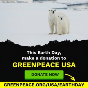 Lana Parrilla Instagram - Today is #EarthDay, and while many people are talking about planting trees or picking up litter (which is great!), there’s so much more that we can do for our planet before it’s too late. That’s why I support @greenpeaceusa. Greenpeace USA works hard on Earth Day and every day to protect our planet from people who are destroying the planet for profit. Learn more at: www.greenpeace.org/usa/earthday 

#earthday #greenpeace #protectourplanet #motherearth #fyp 🌿 🌏 ❤️