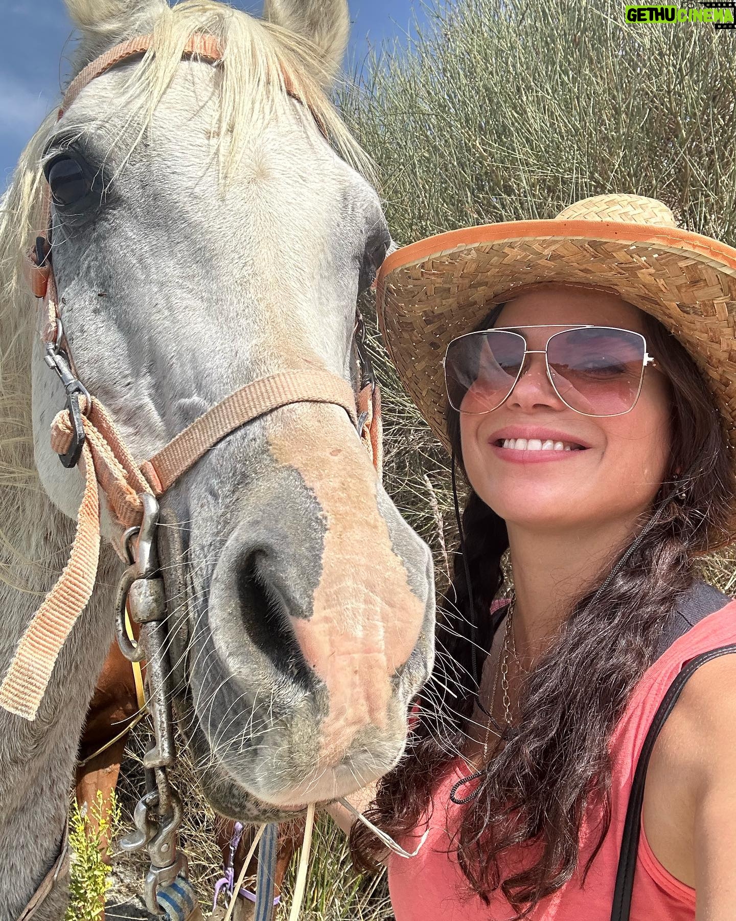 Lana Parrilla Instagram - After 17yrs, I decided to finally come back to the Sierra Nevada Mountains to ride with the best horseman in all of España at the @caballos_la_querencia campo 🐴 🇪🇸 I met my dear friend Fernando Reyero in the summer of 2006 when I decided to move to Spain to study Spanish and brush up on my horseback riding skills 3x a week for nearly 5 months. And where better than the Andalucia in España, right! Granada, Spain became one of my most favorite cities in the world. As someone who’s Spanish speaking skills were poor, you can imagine how intimidating it was to move to a foreign country, not knowing anyone and trying to connect with people who don’t speak your language. Luckily for me, I met one person who really helped me feel welcomed. I was immediately embraced by Fernando who’s English is perfect. He’s not only an incredible teacher and horseman, he’s a wonderful writer and a study of multiple languages. So when I arrived, he greeted me in English, Spanish and French and said, “Which do you prefer?” I replied, “English for now.” 🫣 If you’re looking for adventure on horseback in one of the most stunning places in the world, look no further. Fernando has the most beautiful horses & pups that will melt your heart upon meeting them. He’s created such a wonderful family with these animals and they will all go with you on the journey up the mountain and wait for you while you cool off with a refreshing drink & tapas while overlooking the impressive views of the Sierra Nevadas. This magical experience will keep you smiling for days! For the past 17yrs I’ve wanted to live in this part of Spain. I’ve honestly never been happier. Living with just my basic needs, surrounded by beautiful people, food and culture. And since this trip, I feel like I’m getting closer to that dream. Yay! Who knows, maybe we’ll end up riding together one day! 🤞 Plz go to @caballos_la_querencia for more information on how to have to the adventure of a lifetime. And please make sure to give Fernando a big hug for me! ❤️🇪🇸🐴🍻 #adventure #españa #horsebackriding #andalucia #spain #horses #riding #caballos #friendship #supportsmallbusiness #happiness #caballoslaquerencia #potd