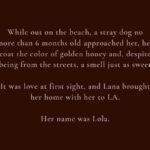Lana Parrilla Instagram - Lola Parrilla transitioned peacefully on January 14, 2024. For more on Lola and Lana’s love story, please swipe through the images above. ❤️🙏🏽🕯️