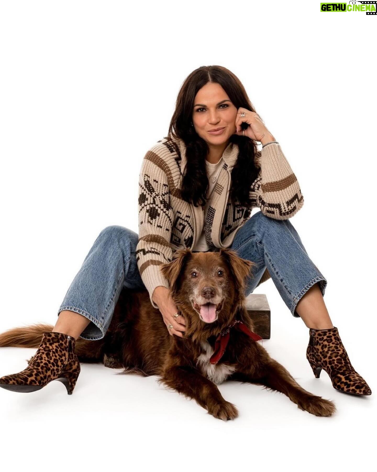 Lana Parrilla Instagram - Come hang with us and our furry friends on Feb 8th!!! Go to @thetailwaggersfoundation for info and tickets!! ❤️🐶 #Repost from @thetailwaggersfoundation • 🏅👏🏼Waggy Awards Honoree👏🏼🏅 🥁🥁🥁The Tailwaggers Foundation, Waggy Awards 2024 Honoree is… Lana Parrilla! Please join us on February 8, 2024 to honor Lana Parrilla, an esteemed actress known for her captivating performances and her unwavering dedication to making a positive impact on the world. Beyond her remarkable talent, Lana’s true passion lies in her advocacy for animals and her unwavering commitment to animal rescue. From her heartfelt support for orphan elephants to her outspoken stand against animal cruelty, and her unwavering support for The Tailwaggers Foundation for the past ten years. In addition to her love for animals, Lana is a fierce advocate for LGBTQ rights and has actively engaged in charity work with Face Forward, an organization that supports victims of domestic abuse. Lana’s acting career is equally impressive. She has graced both the big and small screens with her talent, appearing as a regular cast member on hit shows such as Spin City, 24, Boomtown, Windfall and Swingtown, One of her most iconic roles to date is that of The Evil Queen/Regina Mills in the beloved ABC fantasy drama series Once Upon a Time, Lana’s outstanding portrayal earned her recognition, including an ALMA Award win for Outstanding TV Actress, Continuing her impressive career, Lana took on the role of Rita Castillo in “Why Women Kill” and is now captivating audiences in the Netflix series Lincoln Lawyer. We at The Tailwaggers Foundation, applaud Lana’s continued work and support for animal welfare. ___________________________ Join us for a night honoring Lana Parrilla and raising funds and awareness for animals in need at the Waggy Awards 2024. Tickets and sponsorships are on sale now! Visit the link in bio or TheTailwaggersFoundation.org/WaggyAwards