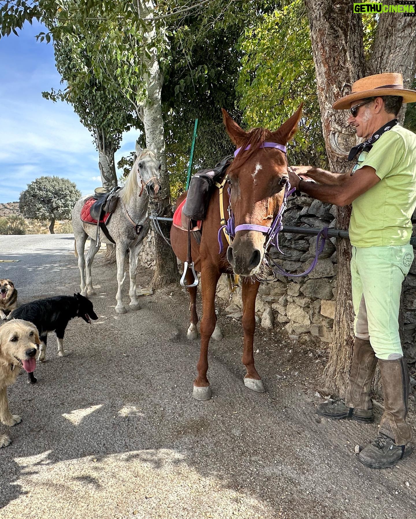 Lana Parrilla Instagram - After 17yrs, I decided to finally come back to the Sierra Nevada Mountains to ride with the best horseman in all of España at the @caballos_la_querencia campo 🐴 🇪🇸 I met my dear friend Fernando Reyero in the summer of 2006 when I decided to move to Spain to study Spanish and brush up on my horseback riding skills 3x a week for nearly 5 months. And where better than the Andalucia in España, right! Granada, Spain became one of my most favorite cities in the world. As someone who’s Spanish speaking skills were poor, you can imagine how intimidating it was to move to a foreign country, not knowing anyone and trying to connect with people who don’t speak your language. Luckily for me, I met one person who really helped me feel welcomed. I was immediately embraced by Fernando who’s English is perfect. He’s not only an incredible teacher and horseman, he’s a wonderful writer and a study of multiple languages. So when I arrived, he greeted me in English, Spanish and French and said, “Which do you prefer?” I replied, “English for now.” 🫣 If you’re looking for adventure on horseback in one of the most stunning places in the world, look no further. Fernando has the most beautiful horses & pups that will melt your heart upon meeting them. He’s created such a wonderful family with these animals and they will all go with you on the journey up the mountain and wait for you while you cool off with a refreshing drink & tapas while overlooking the impressive views of the Sierra Nevadas. This magical experience will keep you smiling for days! For the past 17yrs I’ve wanted to live in this part of Spain. I’ve honestly never been happier. Living with just my basic needs, surrounded by beautiful people, food and culture. And since this trip, I feel like I’m getting closer to that dream. Yay! Who knows, maybe we’ll end up riding together one day! 🤞 Plz go to @caballos_la_querencia for more information on how to have to the adventure of a lifetime. And please make sure to give Fernando a big hug for me! ❤️🇪🇸🐴🍻 #adventure #españa #horsebackriding #andalucia #spain #horses #riding #caballos #friendship #supportsmallbusiness #happiness #caballoslaquerencia #potd