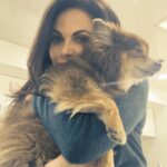 Lana Parrilla Instagram - Morning cuddles with Milo 🥰 #thelincolnlawyer #netflix #potd #puppies