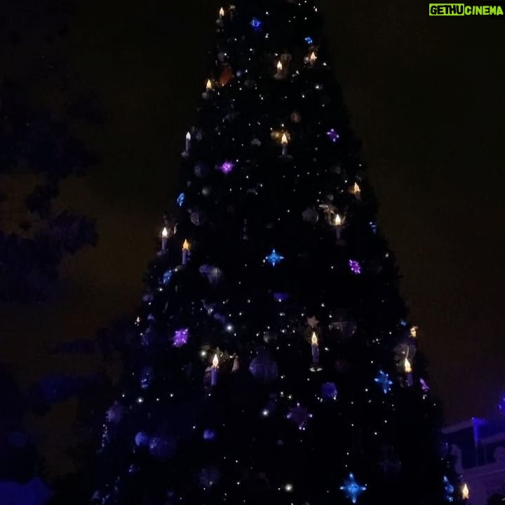 Larissa Gacemer Instagram - Feliz Natal ! ♥️🫶🏻🥰 #merrychristmas !!