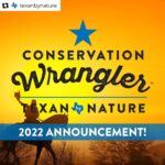 Laura Bush Instagram - Repost from @texanbynature • CONGRATULATIONS to our 2022 #ConservationWranglers Every year, Texan by Nature selects the very best, Texan-led, science-based conservation projects across the state that benefit our people, prosperity, and natural resources. For 18 months, we will work with each project selected to accelerate their mission. 2022 Conservation Wranglers: ⭐️Bringing Baffin Back - @harteresearch @cbbep ⭐️Hives for Heroes - @hivesforheroes ⭐️Texas Partnership for Forests & Water - @texasforestservice ⭐️Texas Runs on Water - @texasrunsonwater @texaswaterfoundation Let’s make BIG, BOLD IMPACT together! We can’t wait to get started. Read the full press release: https://bwnews.pr/36RjHq8