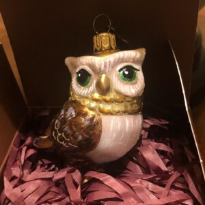 Laura Bush Instagram - Look WHO came for Christmas! 🦉