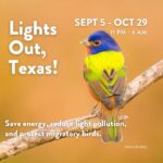 Laura Bush Instagram - Every year, nearly 2 billion birds migrate through the Lone Star State in one of the planet’s great wildlife spectacles. Help protect these migrating birds by turning off your non-essential lights at night now through November 30, and especially during peak migration, now through October 29. #LightsOutTexas Learn more: https://texanbynature.org/lightsouttexas/ #TexanbyNature #Bringbirdsback @TexanByNature @audubontexas