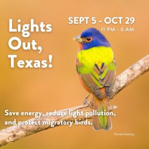 Laura Bush Instagram - Every year, nearly 2 billion birds migrate through the Lone Star State in one of the planet’s great wildlife spectacles. Help protect these migrating birds by turning off your non-essential lights at night now through November 30, and especially during peak migration, now through October 29. #LightsOutTexas

Learn more: https://texanbynature.org/lightsouttexas/  #TexanbyNature #Bringbirdsback  @TexanByNature @audubontexas