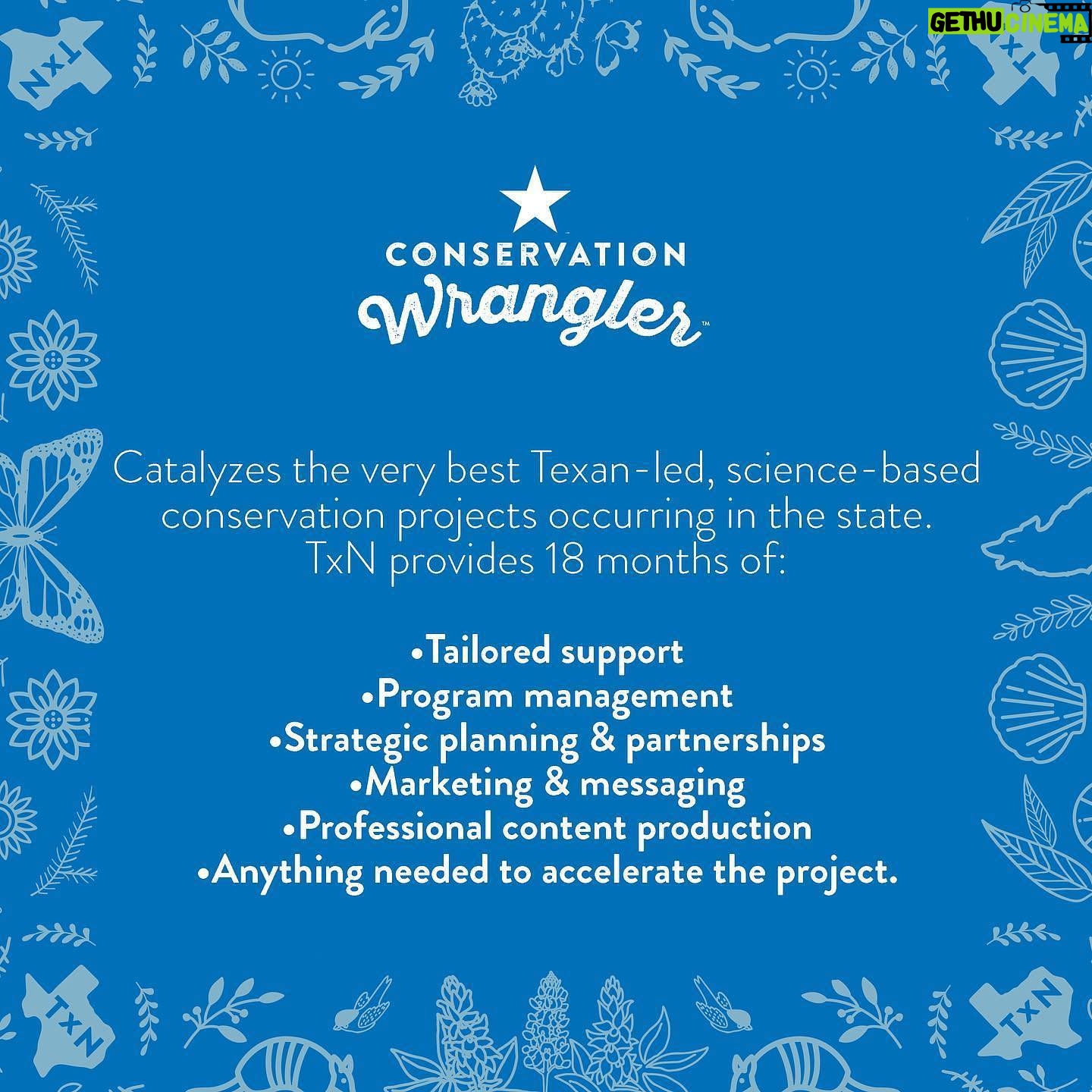 Laura Bush Instagram - Repost from @texanbynature • CONGRATULATIONS to our 2022 #ConservationWranglers Every year, Texan by Nature selects the very best, Texan-led, science-based conservation projects across the state that benefit our people, prosperity, and natural resources. For 18 months, we will work with each project selected to accelerate their mission. 2022 Conservation Wranglers: ⭐️Bringing Baffin Back - @harteresearch @cbbep ⭐️Hives for Heroes - @hivesforheroes ⭐️Texas Partnership for Forests & Water - @texasforestservice ⭐️Texas Runs on Water - @texasrunsonwater @texaswaterfoundation Let’s make BIG, BOLD IMPACT together! We can’t wait to get started. Read the full press release: https://bwnews.pr/36RjHq8