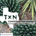 Laura Bush Instagram – Tune in to @texanbynatureβs Conservation Summit, live now from @thebushcenter! Livestream link in bio
Repost from @texanbynature
β’
TODAY is the day! Whether in person or virtual, attendees of todayβs Conservation Summit will learn from experts in the field about the importance and future of conservation through three panels: Collaborative Conservation, the Business of Conservation, and Emerging Models in Conservation.
Join the Summit livestream and read the full Summit agenda at the links in our bio.
#TexanByNature #conservation