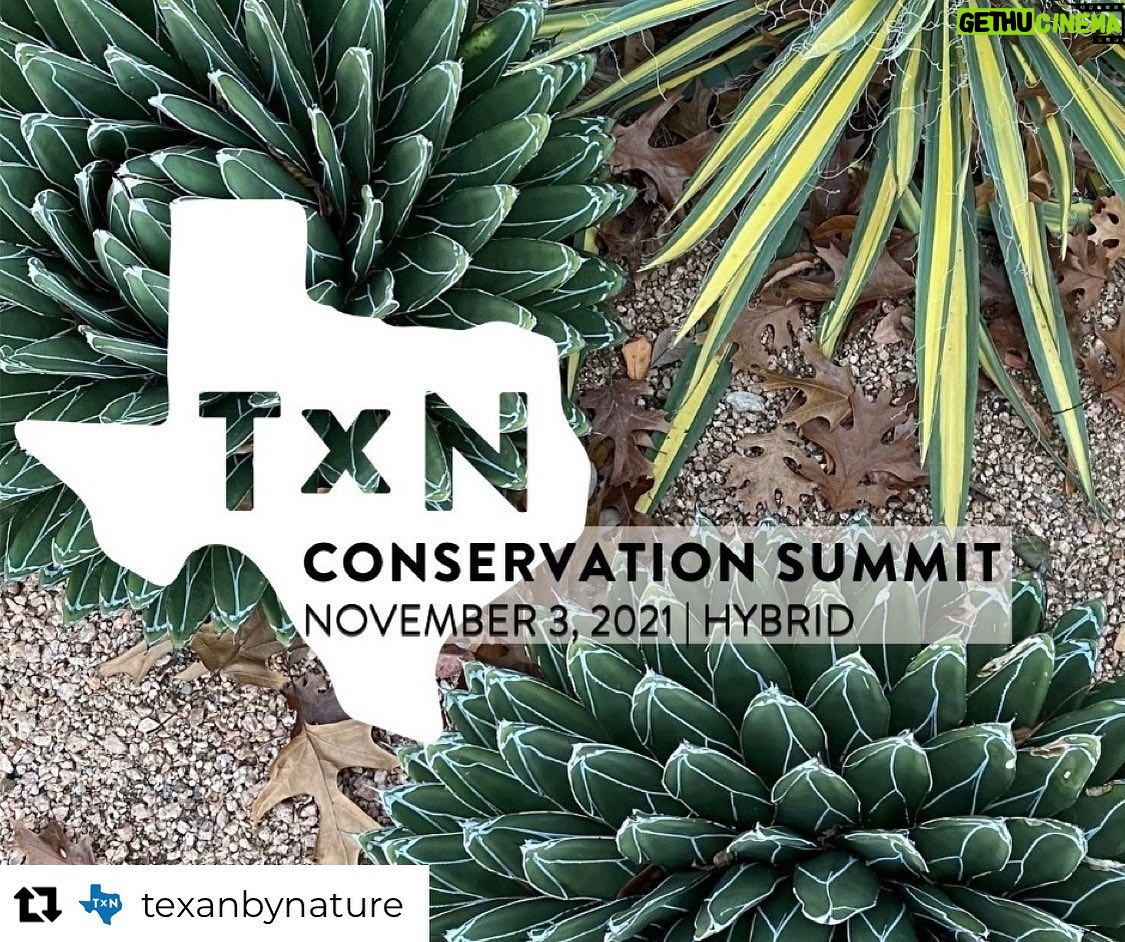 Laura Bush Instagram - Tune in to @texanbynature’s Conservation Summit, live now from @thebushcenter! Livestream link in bio Repost from @texanbynature • TODAY is the day! Whether in person or virtual, attendees of today’s Conservation Summit will learn from experts in the field about the importance and future of conservation through three panels: Collaborative Conservation, the Business of Conservation, and Emerging Models in Conservation. Join the Summit livestream and read the full Summit agenda at the links in our bio. #TexanByNature #conservation
