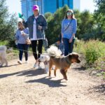Laura Bush Instagram – Freddy loved seeing his furry friends this morning at @thebushcenterβs Pups in the Park event, especially his pals from @spcatexas! πΎ