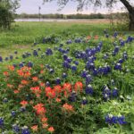 Laura Bush Instagram - Happy Easter from Texas
