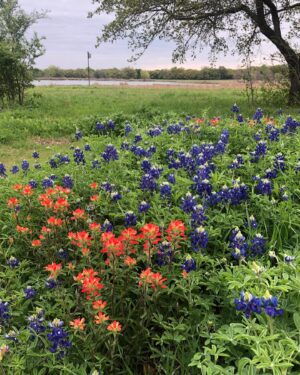 Laura Bush Instagram - Happy Easter from Texas