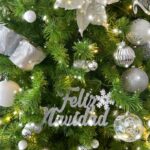 Laura Carmine Instagram - Feliz Navidad 👶🏼🎄🎅🏼🎁