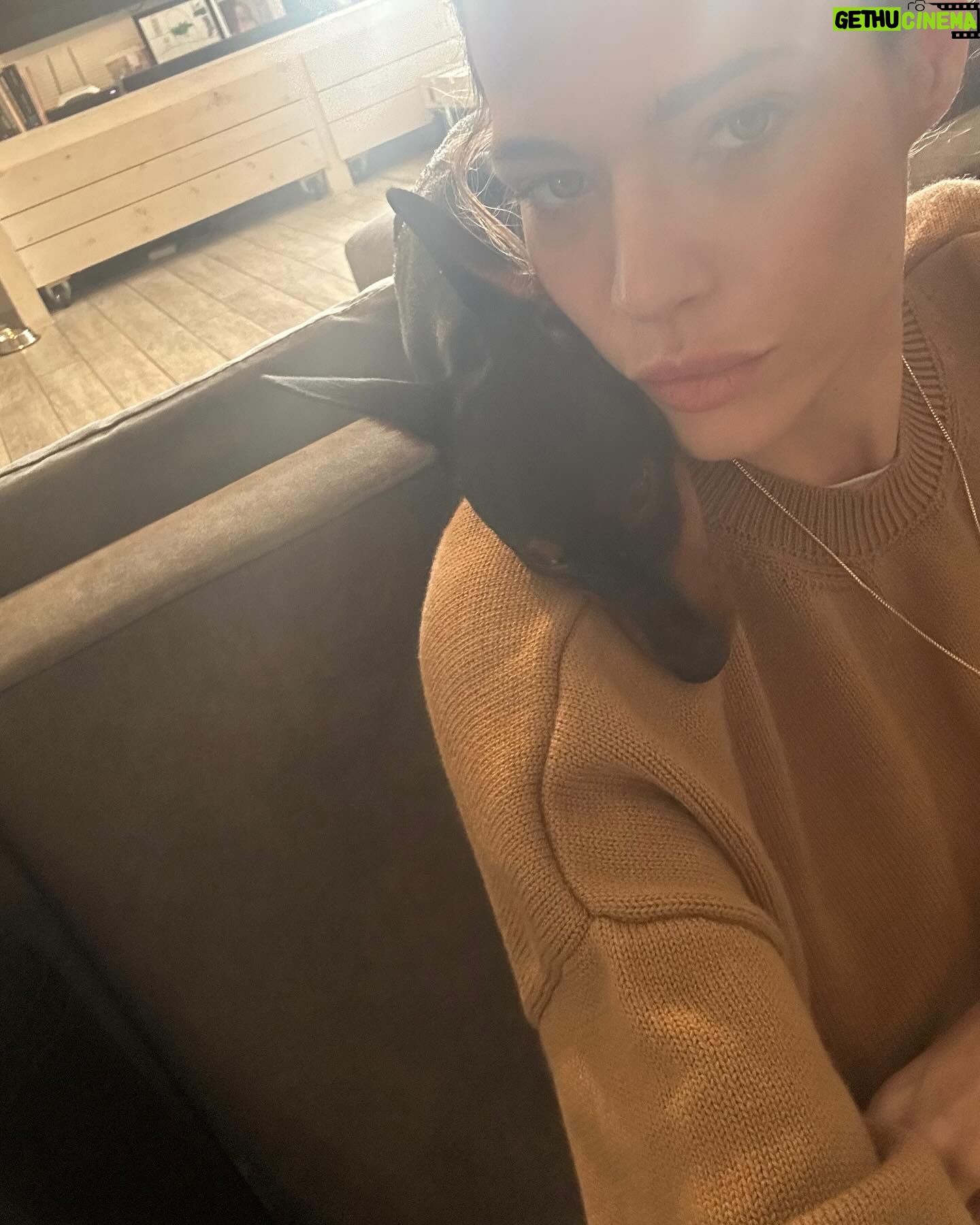 Laura Chiatti Instagram - Ho pensato di prendere un cane…. invece ho preso l’amore ❤️