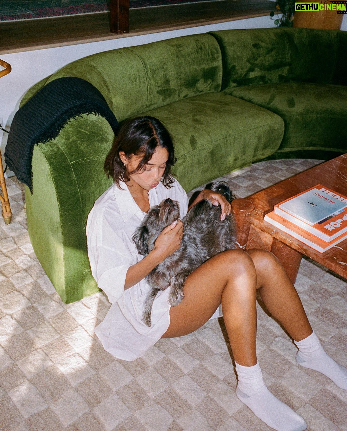 Laura Harrier Instagram - at home in la by @adrianmartinn
