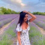 Laura Torrisi Instagram - L’effetto che mi fai ✨🪻