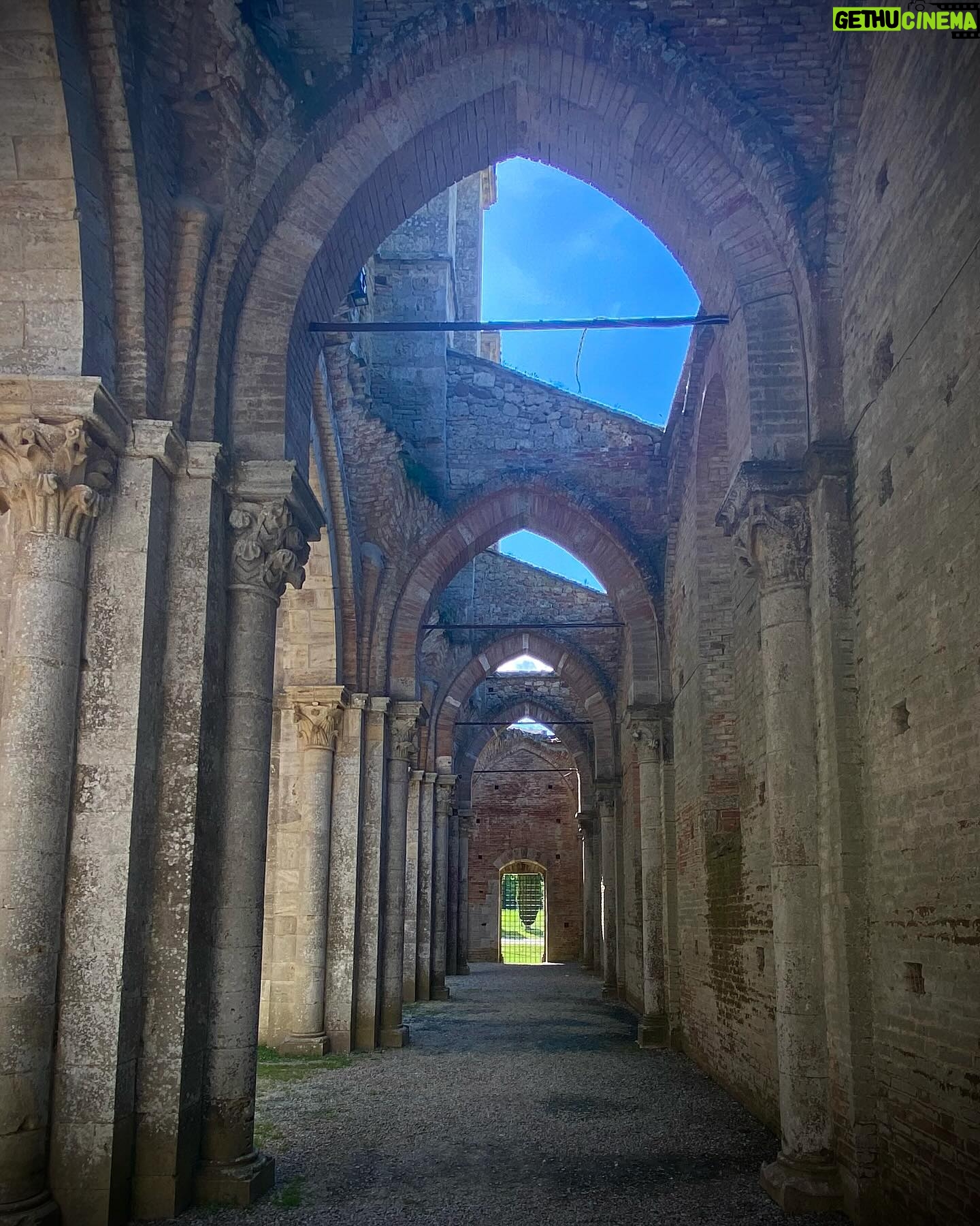 Laura Torrisi Instagram - Giornata meravigliosa tra ✨San Galgano e Siena ✨ Ci siamo pure involontariamente, imbucate ad un matrimonio 😎 (felicitazioni💓) • Foto random di @torrisilaura @freedomofsmile @franci_1980