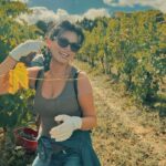 Laura Torrisi Instagram - Il mio Equinozio d’autunno 🍂 non poteva che trascorrere in natura, con amici e uva.. TANTA uva! 🍇 Grazie @mattiacompagnucci_ per avermi dato l’occasione di vivere questa bellissima esperienza che é la vendemmia, tra gioia, calore e risate! E grazie anche alla tua meravigliosa famiglia per l’ospitalità! 💓 Mi avete fatto sentire a casa ☺️ Grazie Blu, é sempre bello condividere nuove avventure insieme a te 🤗🫶🏻 @freedomofsmile #vendemmia2023