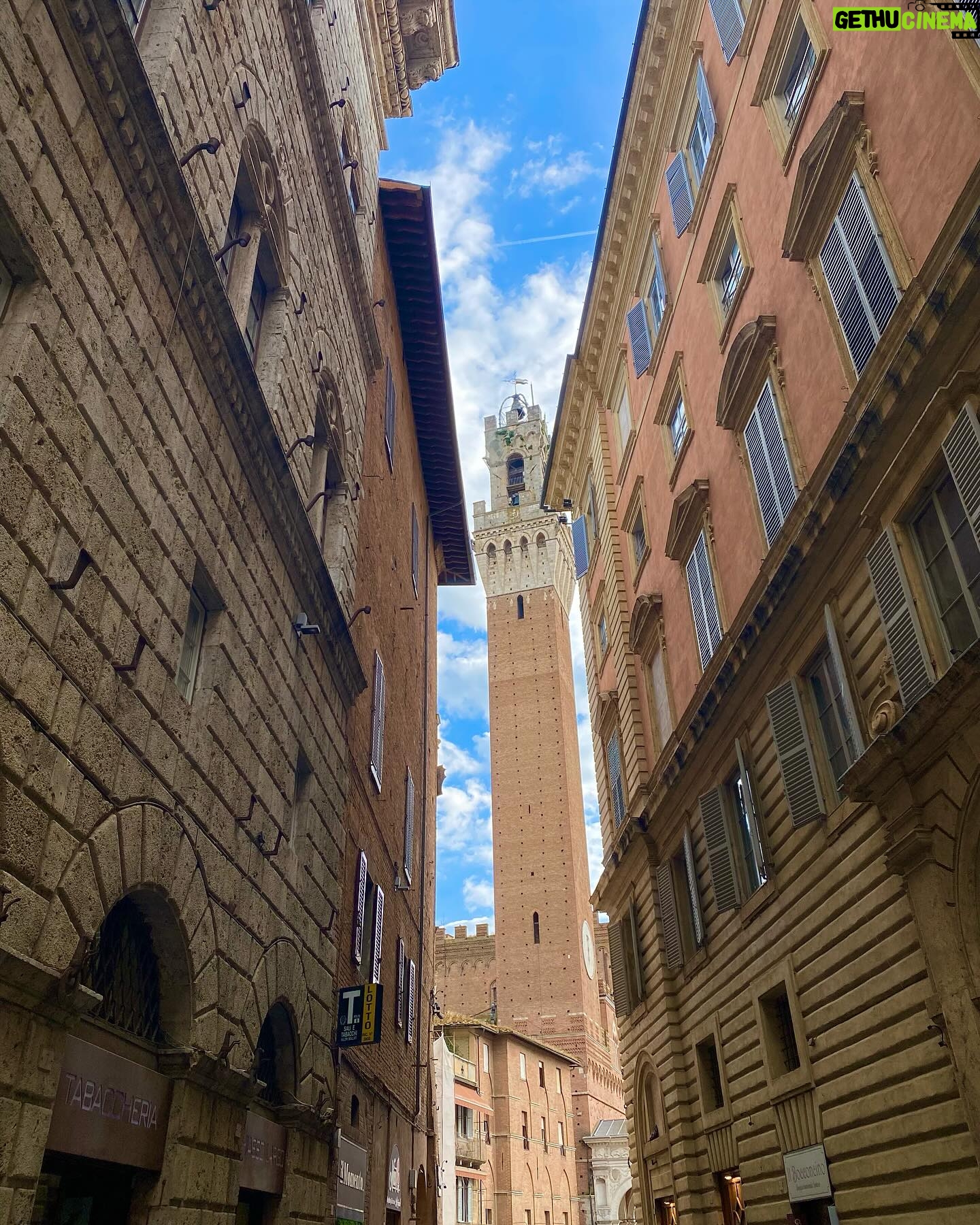 Laura Torrisi Instagram - Giornata meravigliosa tra ✨San Galgano e Siena ✨ Ci siamo pure involontariamente, imbucate ad un matrimonio 😎 (felicitazioni💓) • Foto random di @torrisilaura @freedomofsmile @franci_1980