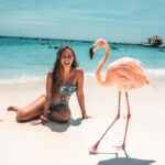 Lauren Gottlieb Instagram – FLAMINGOS!!! I’ll never be the same after this 🦩🤩

📸 @newinflux 💓

#aruba #rennaissanceisland #flamingo #flamingoisland #holiday #beach #vacation