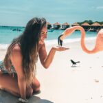 Lauren Gottlieb Instagram – FLAMINGOS!!! I’ll never be the same after this 🦩🤩

📸 @newinflux 💓

#aruba #rennaissanceisland #flamingo #flamingoisland #holiday #beach #vacation