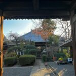 Lauren Lindsey Donzis Instagram - two days in tokyo