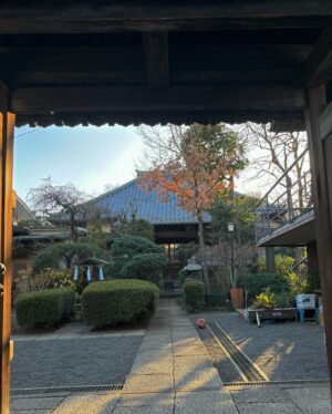 Lauren Lindsey Donzis Instagram - two days in tokyo