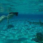 Lauren Lindsey Donzis Instagram - hella sharks, still no mermaids