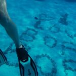 Lauren Lindsey Donzis Instagram - hella sharks, still no mermaids