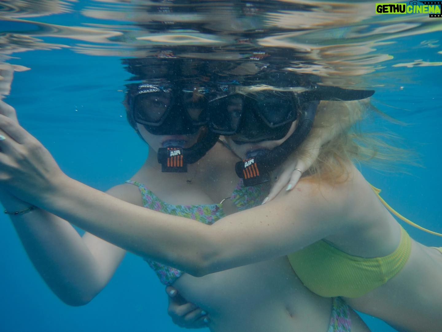 Lauren Lindsey Donzis Instagram - hella sharks, still no mermaids