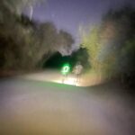 Lauren Ridloff Instagram – The woods are lovely, dark and deep. But I have promises to keep and miles to go…
-Robert Frost