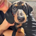 Laurie Hernandez Instagram - we did puppy yoga yesterday. it was awesome