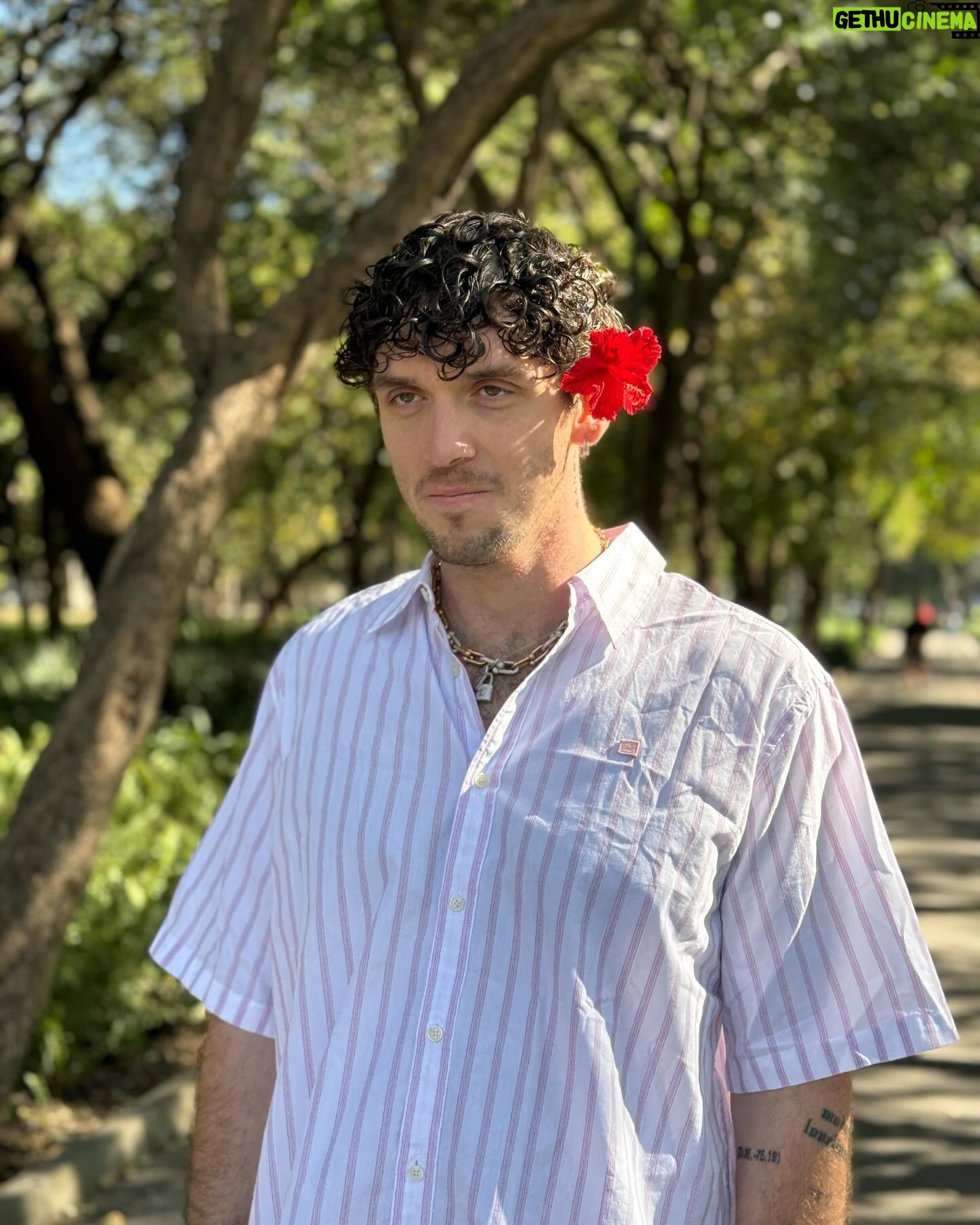 Lauv Instagram - Mexico was one of my favorite places to visit (lol Molly in Mexico), and that’s because the soul and culture is so alive and I feel it literally bleeding out of the streets and I love and respect that level of passion so much. Take me back to Mexico City! I need more time there…
