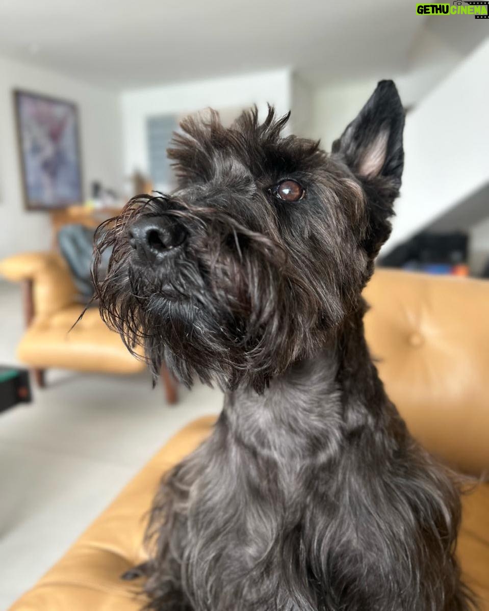 Lavínia Vlasak Instagram - #PhotoDump de uma quarta feira 🥰