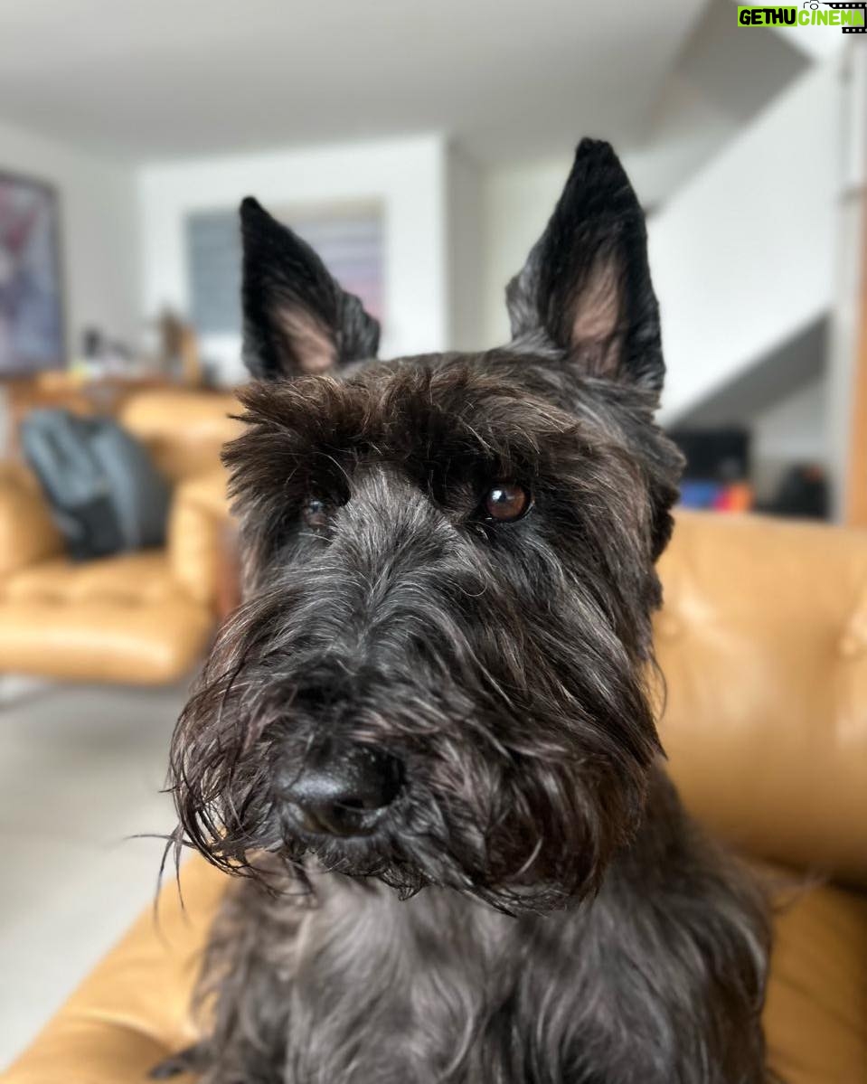 Lavínia Vlasak Instagram - #PhotoDump de uma quarta feira 🥰