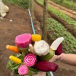 Lavínia Vlasak Instagram - #Tbt de um finde maravilhoso na fazenda de amigos! Comida boa, paz e sem celular! 🤪