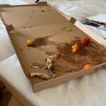 Leïla Bekhti Instagram - À Cannes j’ai : - réfléchi visiblement - j’étais trop heureuse de retrouver des gens que j’aime - j’ai eu la chance de manger des pizzas - je me suis allongée sur un balcon - j’ai imité l’une de mes actrices préférées - j’étais avec des teams de rêve - j’ai assisté au dîner lights on women et c’est FATIMA KACI qui s’est distinguée avec son court métrage - j’ai croisé un des personnages de « je verrai toujours vos visages » mais qui? - et on s’est pris pour Eminem pendant 30 secondes avec Adèle, je pensais qu’elle connaissait les paroles , j’ai été prise d’une jalousie profonde mais finalement elle faisait du Yahourt comme moi , du coup j’ai été hyper rassurée . . Et évidemment bravo à Justine Triet et toute son équipe pour cette palme 💘