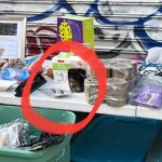 Lea DeLaria Instagram – Just a little neighborhood junk sale. #brooklyn