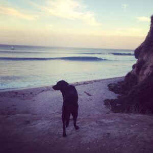 Leah Jenner Instagram - It's a beautiful day in the neighborhood.