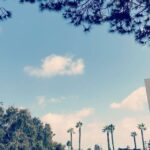 Leah Jenner Instagram - Symphony of the birds 🕊🎻